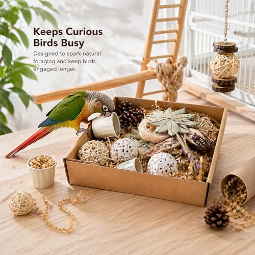 Parrot Foraging Shredding Chew Toys Natural Materials, Interactive Foraging for Birds, Tearing Chewing Bird Set, Enrichment Shredding Box for Parakeets Cockatiels Conures, Parrot Accessories (Natural)