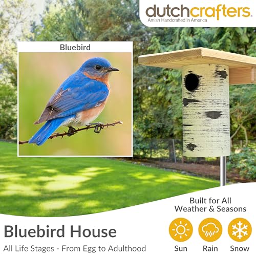 DutchCrafters Cedar Wood Pole Mount Gilbertson Bluebird House with Removable Base, Weatherproof Wooden Birdhouse Blue Bird Nesting Box for Outdoors - color: Natural