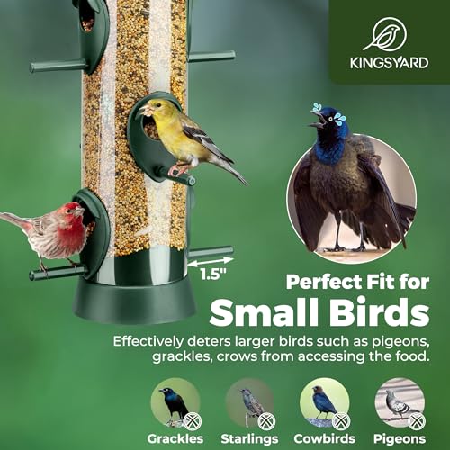 Kingsyard 2 Pack Tube Bird Feeders for Outdoors Hanging | 6-Port with 360° Feeding, No-Spill Design, 2 lb Seed Capacity, Attracts Finches & Songbirds, Garden & Backyard Decor, Green - color: Green
