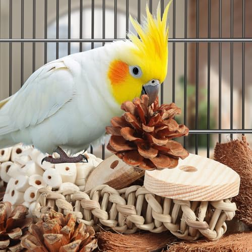 Kyouki Bird Toys Parrot Natural Bird Foraging Box Foot Toys for Parakeets,Cockatiels,Conures,Love Birds,and Other Small to Medium Birds (Large) - size: Large