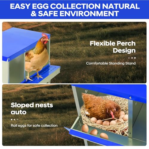 Garvee Chicken Nesting Box, 6 Compartments Nesting Box for Chickens, Galvanized Steel Chicken Laying Box for Easy Egg Collection, Wall Mounting - color: Blue | 6 Compartments+legs