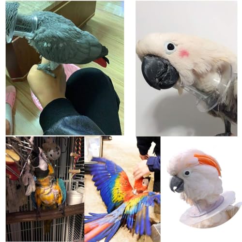 QBLEEV Parrot Anti-bite Collar, Anti-Grab Feather Lick Neck Collars | Stress-free recovery from injuries post-surgery, protective wound healing recovery collars fit lovebird macaws budgies - size: S