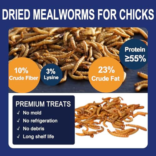 RANZ 20LBS Non-GMO Dried Mealworms for Chickens, High Protein Meal Worms, Premium Chicken Feed, Whole Large Mealworms for Blue Birds, Ducks, Fish - size: 20 Pound (Pack of 1)