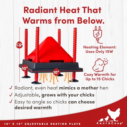 RentACoop 10x10” Heating Plate with Hard Anti-Roost Cone Set