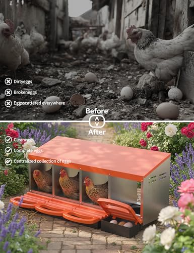GarveeLife Chicken Nesting Box 4 Hole, Galvanized Steel Nest with Roll Away Egg Collection & Swing Perch, Easy-Clean Laying Box for Hens, Heavy Duty Design for Chicken Coop - color: Orange, size: 4 holes