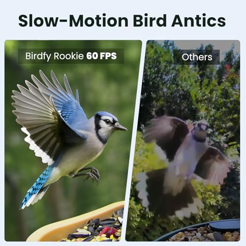 Smart Bird Feeder with Camera for Rookie, Camera Bird Feeder Dual Night Vision, AI Recognition IP66 Waterproof for BirdLovers, 1.3L Capacity - style: AI 7 Day Trial