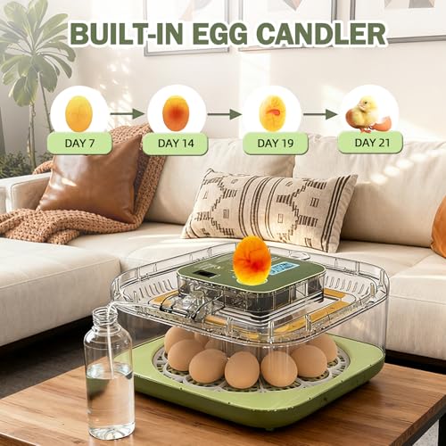 XOTTI Incubator for Hatching Egg, 12 Egg Incubators with Temperature and Humidity Control, Automatic Turner, Candler, 360° Viewing for Dry Hatch Chicken, Duck, Quail, Goose, Parrot and Pigeon - size: 12 Eggs