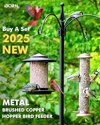 iBorn Metal Bird Feeders for Outdoors Hanging,Wild Bird Feeders for Cardinal,18cm Large Roof&Tray Black 6 Port (Seed is not Included) - color: Black,2.2LB,6Port