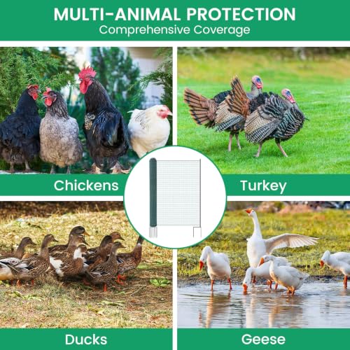Non Electric Fence Netting 40" x100', Boundary Fence with Double Spiked Posts, Portable Poultry Fence All-Purpose Fencing for Dogs, Chickens, Ducks, Turkeys Suitable in Backyard, Garden, Farm