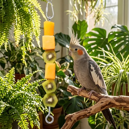 3Pcs Bird Food Holder Cage Food Holder Stainless Steel Small Animal Bird FoodTreats Skewer Hanging Vegetable Fruit Feeder Feed Treating Tool Parrots Cockatoo Cockatiel (Silver)