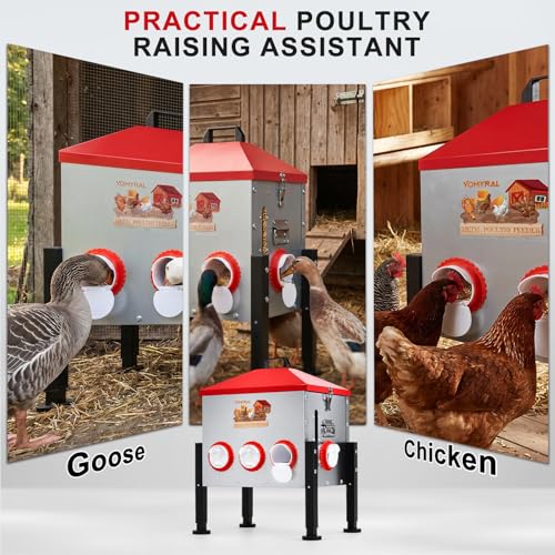Automatic Chicken Feeder, 55LB Large Metal Poultry Feeder with 8 Ports | No Waste Metal Rat Proof Design With View Window And Adjustable Legs For Chickens, Ducks & Geese. Ideal Chicken Coop Feeder - size: 8 Ports - Max 55 lb