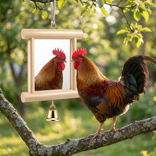 Bird Mirror with Bell for Cage for Coop Enrichment, 4 x4 Inch Hanging Swing Pet Mirror Chicken Enrichment Toys for Hens Birds Parrots(Wood Color) - color: Wood Color