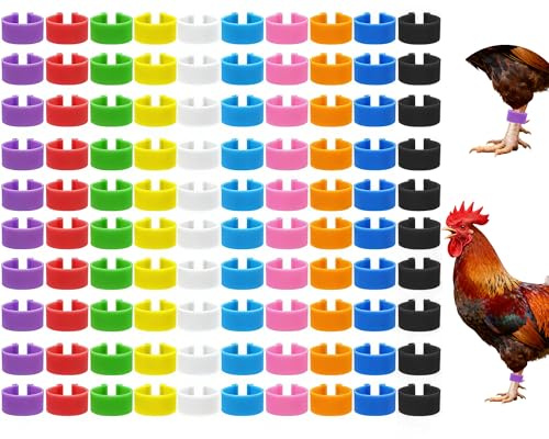 Keedolla 200 Pcs 16mm Chicken Leg Rings Colorful Numbered Chicken Identification Leg Bands Clip on Poultry Foot Rings Chicken Ankle Tags for Chicks Duck Bantam Guinea Pigeons Gamefowl - size: 16mm - 200pcs