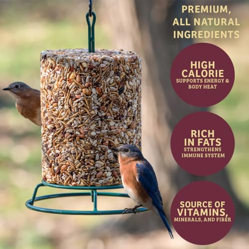 Birds Choice Bugs 'N Nuts Cylinder Seed | Wild Bird Food with Insects & Fruit | High-Energy Mix of Sunflower Hearts, Peanuts, Mealworms & Tree Nuts | High Protein & Bird Feed | 5.5 lbs (2-Pack) | High-Energy Mix of Sunflower Hearts, Peanuts, Mealworms and