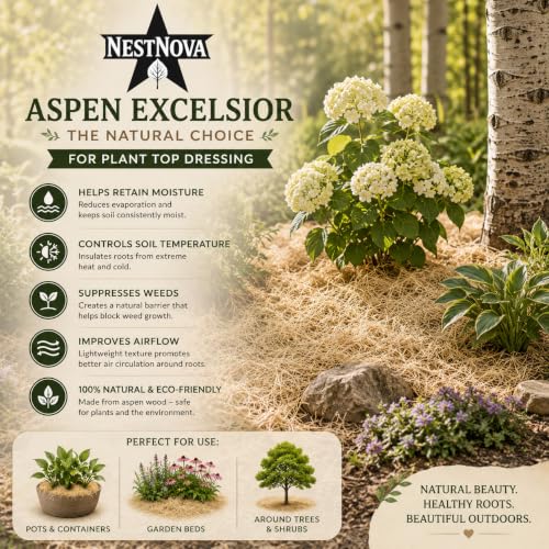 NestNova™ Aspen Excelsior, 2 lb Box of USA-Grown Aspen Fiber. Eco-Friendly Material for Chicken coops, Small pet Bedding, Crafts, and Gift Baskets. Biodegradable and Hand Packed. 2 Boxes (4 lbs)