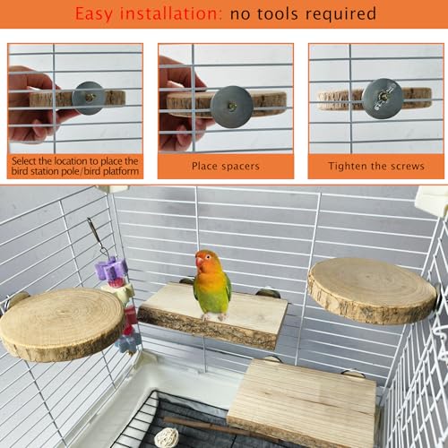 Hamiledyi Wood Bird Perch 4 Pcs Natural Bird perches Wooden Stand Platform or Budgie Conure Parrot Parakeet Cockatiel Lovebird - size: 3.9x2+6.1x2in