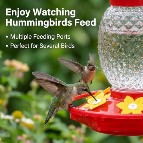 Fchstaer Glass Hummingbird Feeders for Outdoors Hanging 16oz 2 Pack Clear Pineapple Bee & Ant Proof 360°Perch Leakproof Easy Clean with 6 Feeding Ports Gifts for Mom - color: Clear-2PC