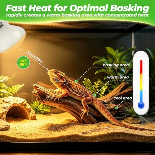 LUCKY HERP Reptile Heat Lamp Bulbs 50W, UVA Daylight Basking Bulbs 2 Pack | Fast Heating, Simulates Natural Sunlight, Ideal for Bearded Dragons Geckos Lizards Turtles Chameleons Amphibians Chickens - size: 50