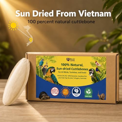 Birds LOVE 5.5-6″ Cuttlebone for Birds – 100% Natural Sun-Dried Calcium & Beak Conditioning Supplement for Parakeets, Budgies, Cockatiels, Finches & Canaries – 6 Pack with Holder – Made in Vietnam - size: 1 Count (Pack of 1)