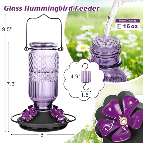 Glass Hummingbird Feeder for Outdoors Hanging, 16 oz Leak-Proof Nectar Feeder with Bee Guards & Ant Moat, 4 Metal Flower Feeding Ports, 360° Perch Ring, Easy Refill & Clean, Purple - color: Purple
