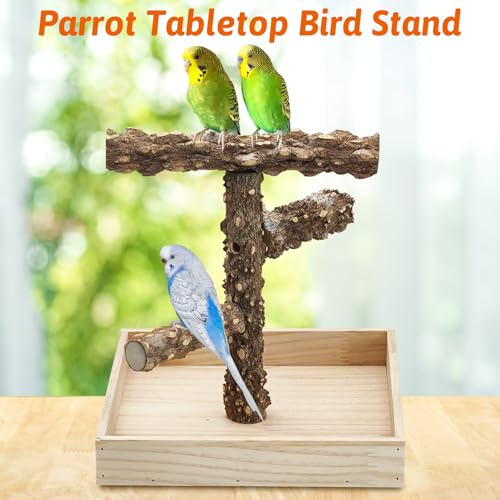 BNOSDM Portable Bird Perch Stand with Potty Tray, Natural Wood Tabletop Training Gym Parrot Playground Toy for Budgies, Cockatiels, Lovebirds,Conures Canaries - color: Three Levels Bird Stand