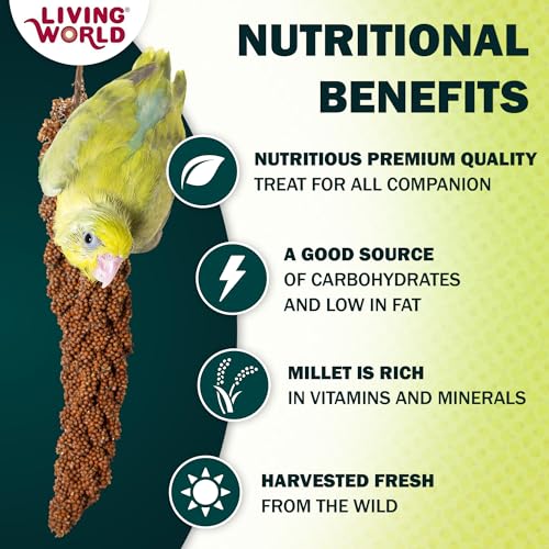 Living World – Millet Spray for Birds,7 Oz – Premium Treat for Budgies,Canaries,Finches,Cockatiels and Other Pet Birds,(Pack of 2) - size: 7 Ounce (Pack of 2)