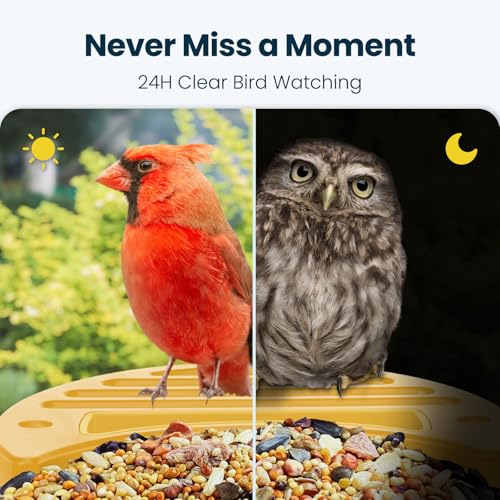 Smart Bird Feeder with Camera, Yellow | 2.5K UHD, AI Bird Species Identification, Solar Powered, 2.4G WiFi, IP66 Waterproof Outdoor, Instant Alerts, Gift - color: Yellow