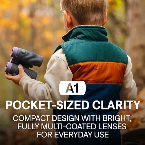 Bushnell A1 10x25 Binoculars Ebony Black | Waterproof, Fogproof, 10X Magnification, Fully Multi-Coated Lenses & Rubber Armor - color: Ebony Black, size: 10x25