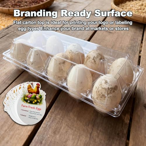 Plastic Goose Egg Cartons Cheap Bulk Empty Clear Large Duck Eggs Tray Holders Box for Farm Reusable Storage Container (20, 2×5)