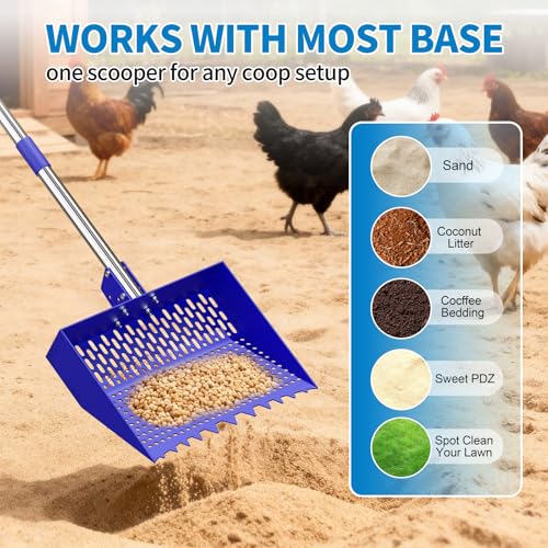 2-in-1 Chicken Poop Scooper & Rake 12-Inch Large Metal Shovel Head Adjustable Stainless Steel Handle (24 to 64") Litter Sifting Shovel Cleaning Tools for Chicken Run, Animal Farm (Blue) - color: Blue