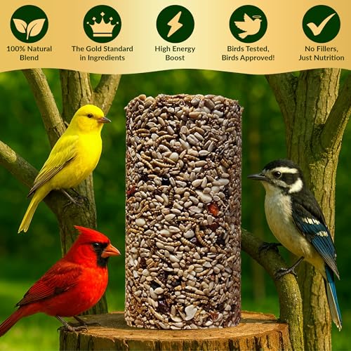 Bugs, Nuts & Berries Bird Seed Cylinders with Hole, Mealworms, 4" x 7.75" | Protein Rich Wild Bird Food with Mealworms, Cylinder Bird Seed, Attracts a Variety of Wild Birds, No Filler, USA Made, 1.5lbs - size: 1-Small
