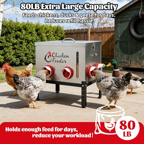 80LB Metal Chicken Feeder, Rat Proof Automatic Chicken Feeder with Visible Window & 8 Ports, Galvanized No Waste Poultry Feeder for Chickens, Ducks, Geese - size: 80 LBS