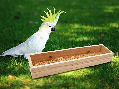 Bird Feeding Cups, Natural Wooden Parrot Perch Stand, Birds Food Dish, Parakeets Feeder Bowl, Cage Accessories for Small Animals Rat Hamster Guinea Pig Chinchillas Budgies Cockatiels Love Birds - size: 11.8 × 3.1 Inch
