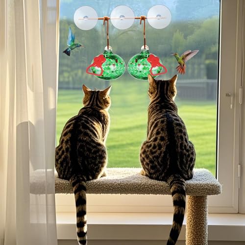 Pozfun Set of 2 Hummingbird Feeders for Outdoors Hanging,Hand-Blown Glass Hummingbird Feeder with Silicone Feeding Perch,Never Leak,Gardening Gifts for Woman Man(Red) - color: Dotted Green