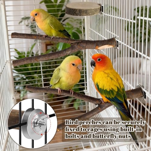 8 Pack 9 Inch Natural Wood Bird Perches for Cage, Wood Parrot Perch | Wooden Parrot Stand Platforms, Hardwood Branches, Climbing & Chew Toy for Bird Cage Accessories, Ideal for Parakeets, Budgies - size: Large Size-8 Pack