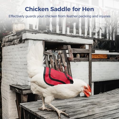 6 Pcs Chicken Saddles for Hens, Adjustable Hen Saddles, Chicken Sweater Aprons, Protects Back and Sides Pecking, Chicken Feather Protectors, Poultry Accessories for Outdoor Use