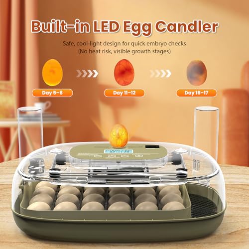 24 Egg Incubator with Humidity Display & Candler, Automatic Adjustable Turner, Temp & Humidity Control, Auto Water Refill – Large Capacity Hatcher for Chicken, Duck, Goose, Turkey, Quail - color: Brown, size: 24 Egg