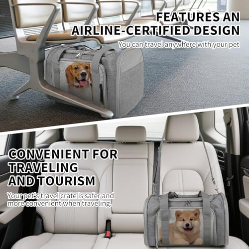 Cat Carrier, Soft-Sided Airline Approved Pet Carrier Case with 4 Ventilated Windows for Cats and Dogs Under 10-25Lbs (17.0 L x 11.0 W x 11.0 H Inch, Grey) - color: grey, size: 17.0"L x 11.0"W x 11.0"H