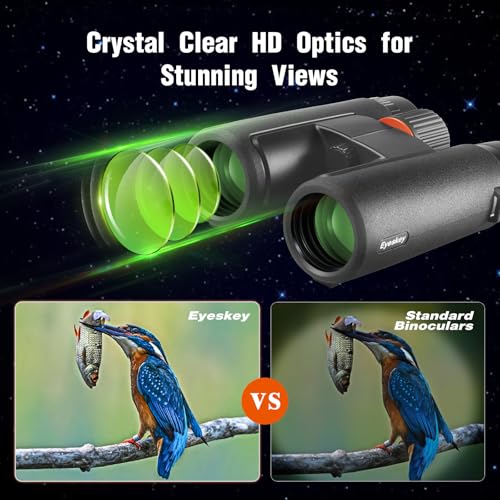 10x42 HD Binoculars for Adults High Powered with Low Light Night Vision – Lightweight Waterproof Binoculars with Smartphone Adapter for Hunting, Bird Watching, Stargazing & Outdoor Travel - color: Black-10x42