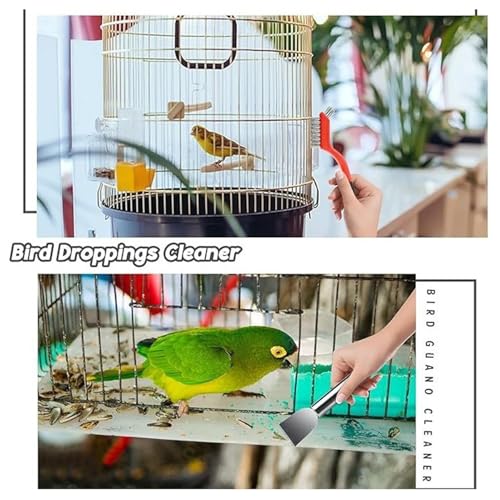 Asixxsix Bird Cage Cleaning Tools Set, 6PCS Stainless Steel Brush Poop Remover Scraper Tool with Gloves for Small Animal Cage, Kitchen BBQ Cleaning