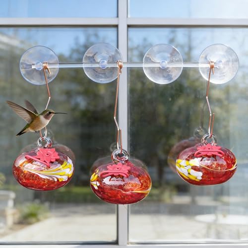 3PCS Window Hummingbird Feeder with Suction Cups(Red) - color: Red