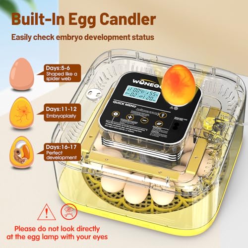Incubator for Hatching Eggs, 12 Eggs Incubator with Automatic Egg Turning, Temperature & Humidity Control, LED Egg Candler, Incubation Days Display, for Chicken, Duck, Quail, Parrot Bird Eggs