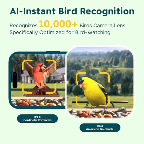 Bird Feeder with Camera Solar Powered, Upgraded 1.5L Smart Bird Feeder Camera for Bird Watching, Auto Capture & Instant Real-time Notifications, Ideal Gift for Bird Lovers