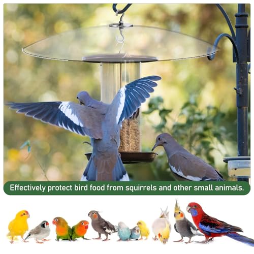 GANAZONO Plastic Bird Feeder Rain Cover Squirrel Baffle for Bird Houses or Hanging Humming Feeder Station Pole | Squirrel Baffle for Bird Houses or Hanging Humming Feeder Station Pole