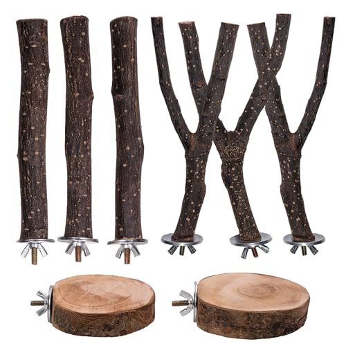 8PCS Bird Perches Set Natural Apple Wood Bird Cage Accessories Wooden Parrot Stand Hardwood Branches for Parakeets, Budgies, Cockatiels Small Bird Habitat Gym, Climbing Stand & Safe Chew Toys