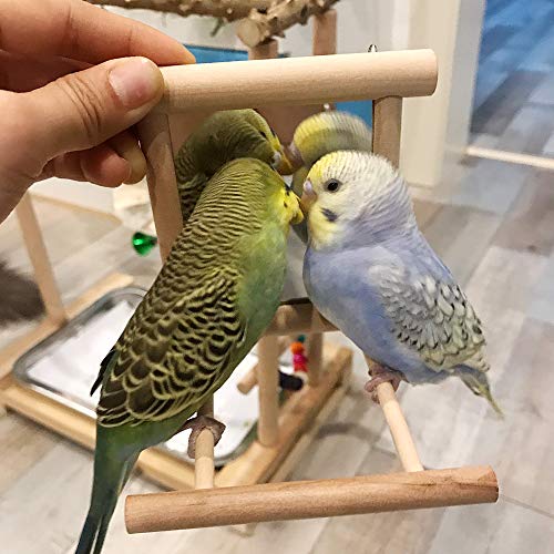 HANZE Bird Mirror Swing with Rattan Ball | Natural Wood Parrot Toy with Metal Hooks for Macaws, Cockatiels, Parakeets, Lovebirds | Safe Chewing & Mental Stimulation - 2 Pack - color: 2 Pack