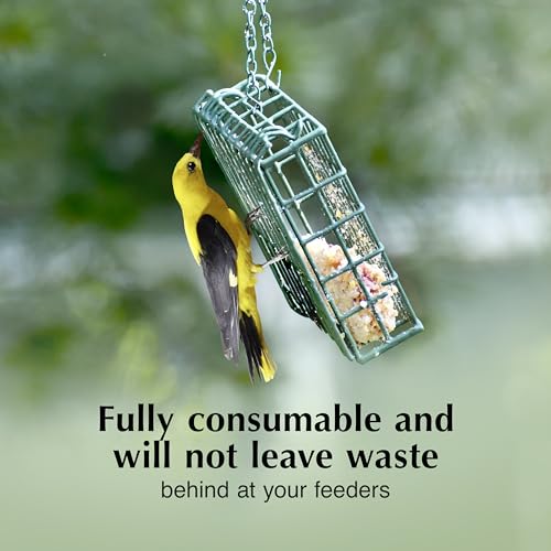 C&S Oriole Delight No Melt Suet Dough, Suet Cakes for Wild Birds Including Orioles and More, 11.75 Ounces, Pack of 8 - size: 1.47 Ounce (Pack of 8), style: Oriole, 8 Pack