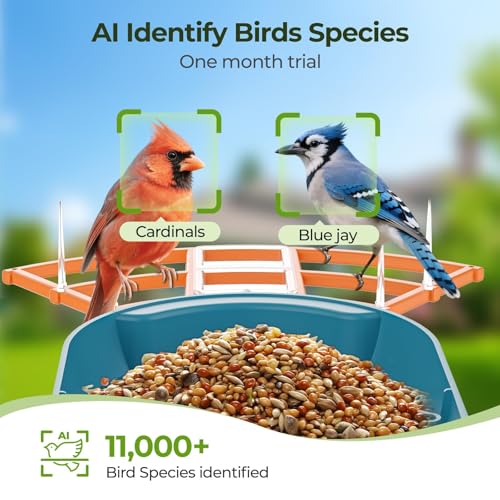 Smart Bird Feeder with Camera Solar Powered for Outside Birdhouse with Camere, AI Identify Birds Species, FHD Live Video, Instant Arrival Alerts, Ideal Gift for Family or Bird Lovers (Azure Blue)