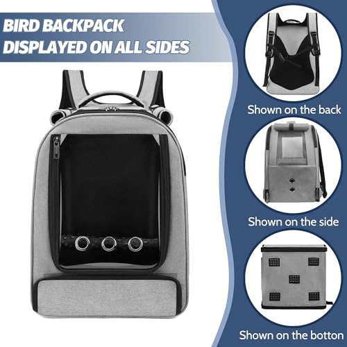 Bird Backpack Carrier,Bird Travel cage Backpack with Tray and Standing Perch,Feeding Tank,Waterproof pad,Used for Parakeets,hornbirds,Lovebirds,Small and Medium-Sized Bird - color: Grey