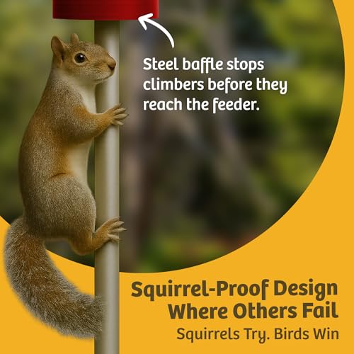 Birds Choice Classic Squirrel Proof Bird Feeder with Pole Mount | Tube Bird Feeder for Cardinals, Chickadees, Woodpeckers | Sturdy Steel for Long-Lasting Use | Backyard Bird Seed Dispenser | Green | Sturdy Steel Tube Seed Dispenser, for Cardinals, Chickad